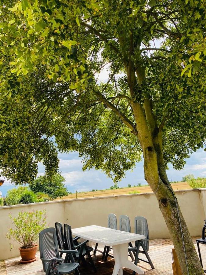Gite Spa La Grange Kintzheim Zewnętrze zdjęcie