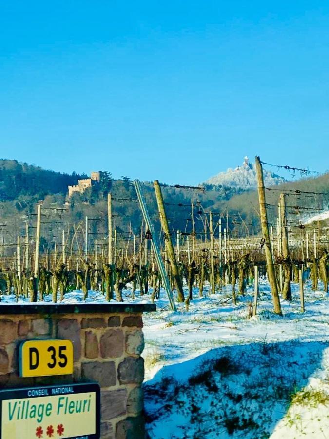 Gite Spa La Grange Kintzheim Zewnętrze zdjęcie