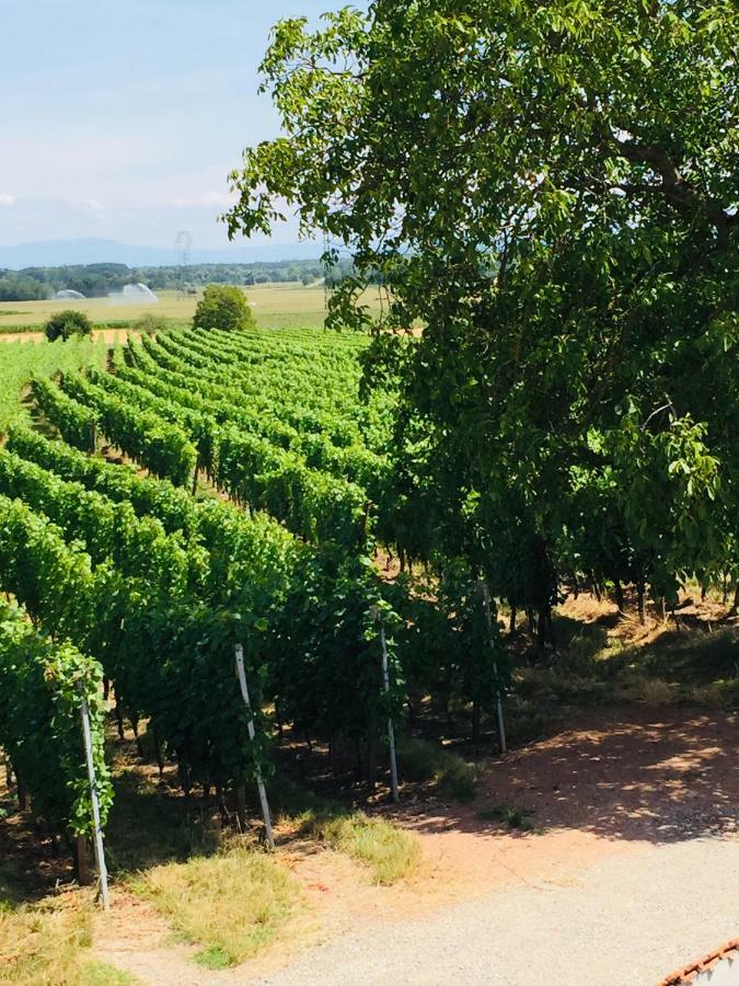 Gite Spa La Grange Kintzheim Zewnętrze zdjęcie