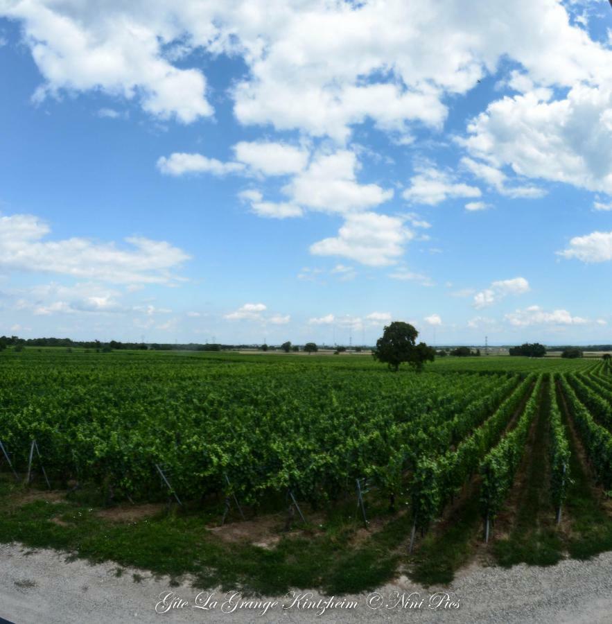 Gite Spa La Grange Kintzheim Zewnętrze zdjęcie
